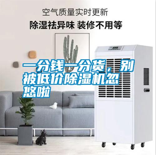 一分錢一分貨，別被低價91看片网站视频機忽悠啦