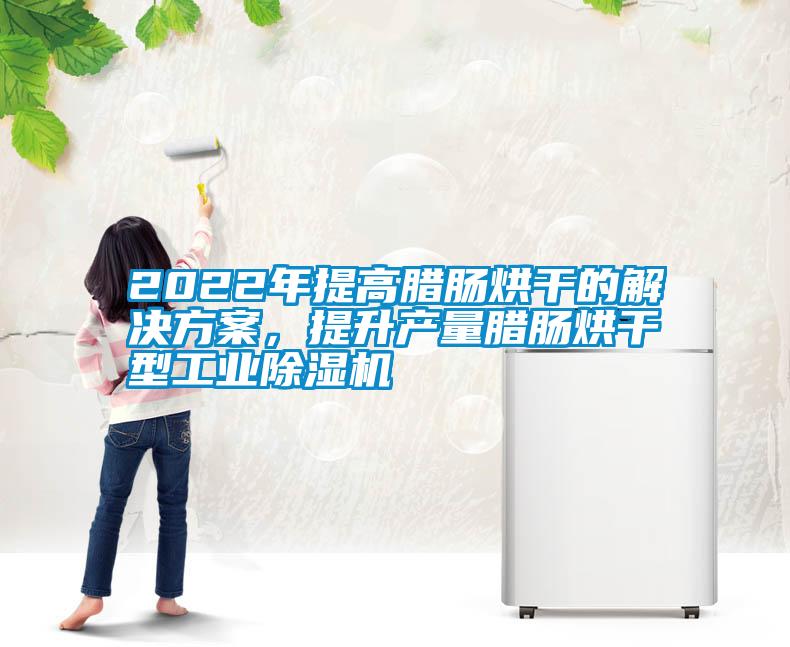 2022年提高臘腸烘幹的解決看片网站入口，提升產量臘腸烘幹型工業91看片网站视频機