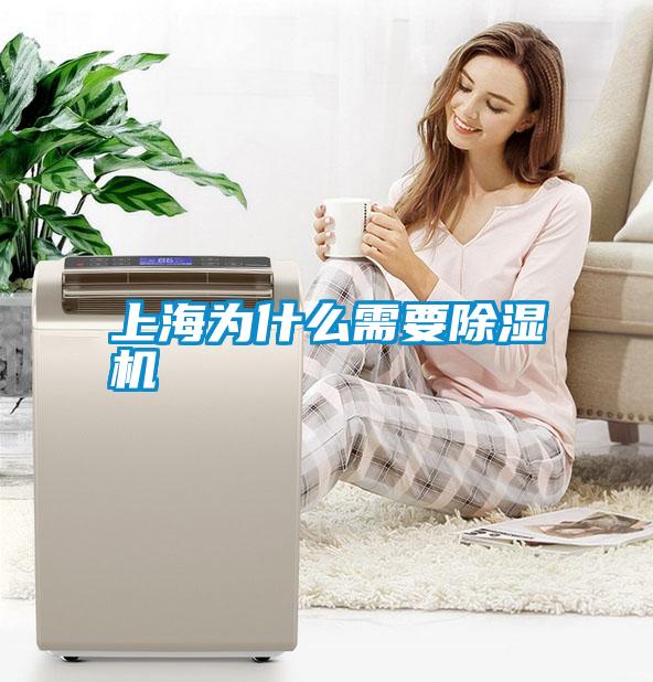 上海為什麽需要91看片网站视频機