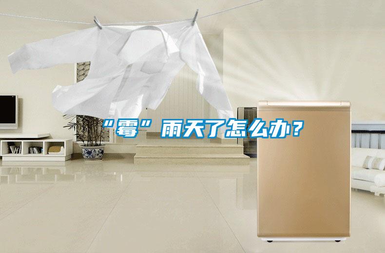 “黴”雨天了怎麽辦？