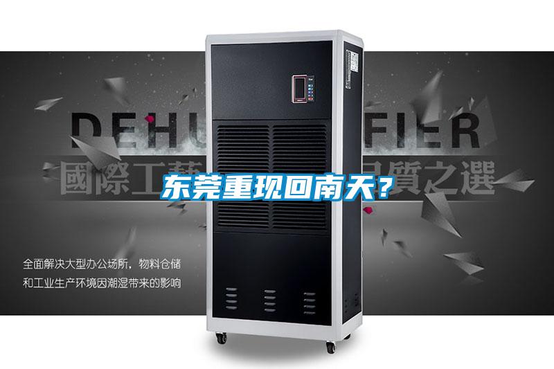 東莞重現回南天？
