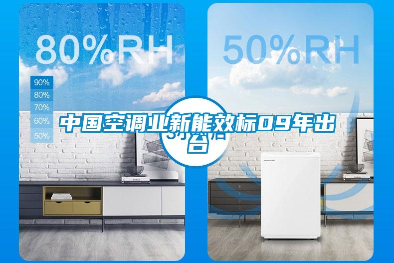中國空調業新能效標09年出台