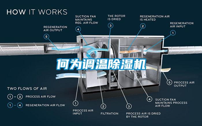 何為調溫91看片网站视频機