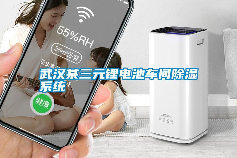 武漢某三元鋰電池車間91看片网站视频係統