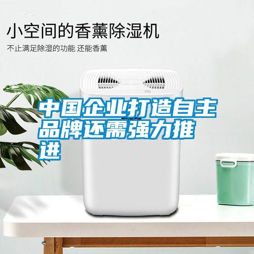 中國企業打造自主品牌還需強力推進