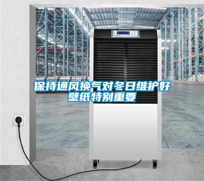 保持通風換氣對冬日維護好壁紙特別重要