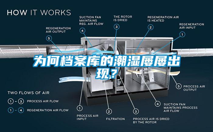 為何檔案庫的潮濕屢屢出現？