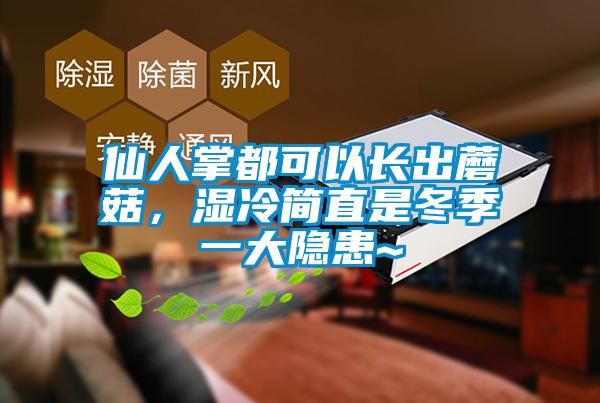 仙人掌都可以長出蘑菇，濕冷簡直是冬季一大隱患~