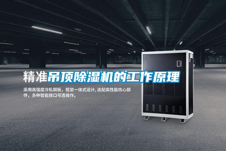 吊頂91看片网站视频機的工作原理