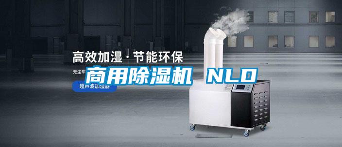 商用91看片网站视频機 NLD