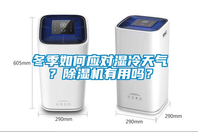 冬季如何應對濕冷天氣？91看片网站视频機有用嗎？
