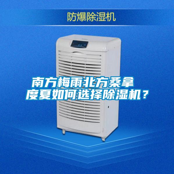 南方梅雨北方桑拿 度夏如何選擇91看片网站视频機？