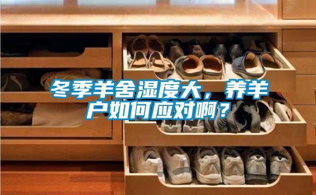 冬季羊舍濕度大，養羊戶如何應對啊？