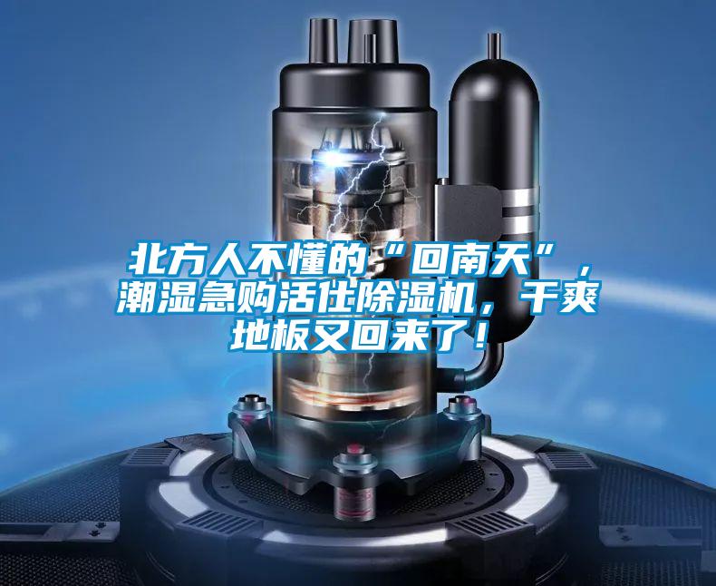 北方人不懂的“回南天”，潮濕急購活仕91看片网站视频機，幹爽地板又回來了！