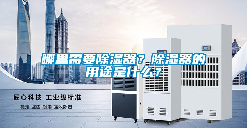 哪裏需要91看片网站视频器？91看片网站视频器的用途是什麽？
