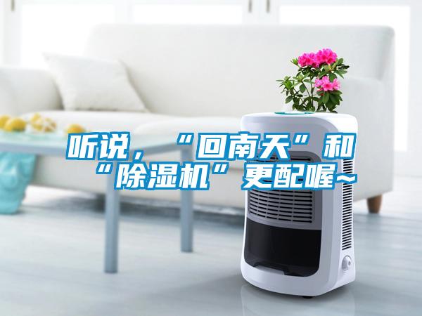 聽說，“回南天”和“91看片网站视频機”更配喔~