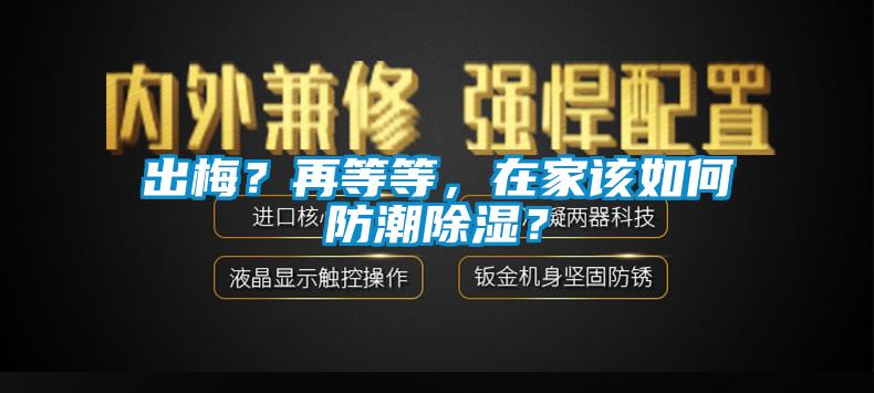 出梅？再等等，在家該如何防潮91看片网站视频？