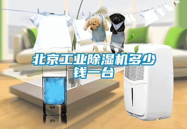 北京工業91看片网站视频機多少錢一台