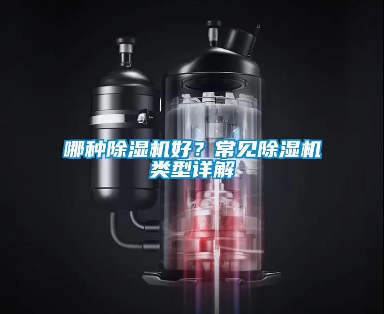 哪種91看片网站视频機好？常見91看片网站视频機類型詳解