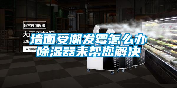 牆麵受潮發黴怎麽辦91看片网站视频器來幫您解決