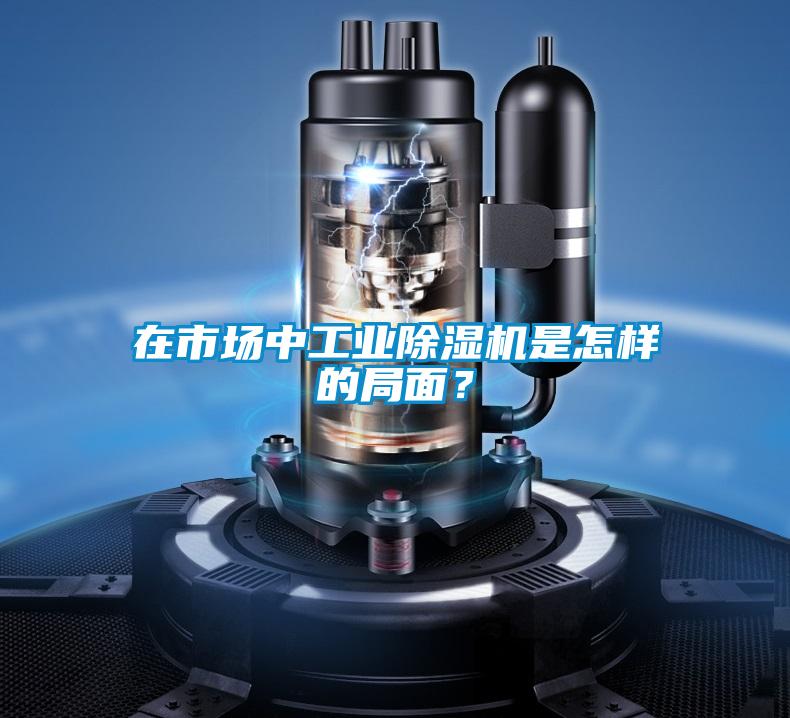在市場中工業91看片网站视频機是怎樣的局麵？