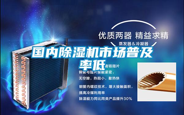 國內91看片网站视频機市場普及率低