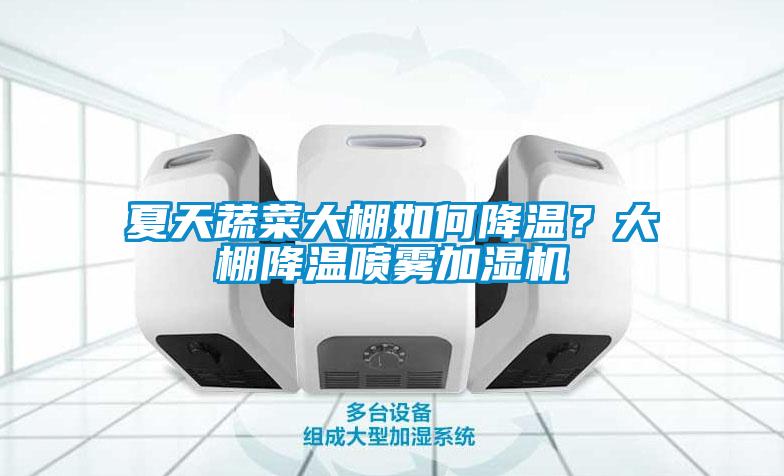 夏天蔬菜大棚如何降溫？大棚降溫噴霧加濕機