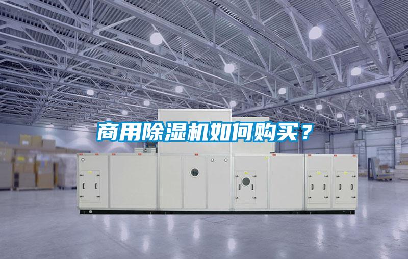 商用91看片网站视频機如何購買？