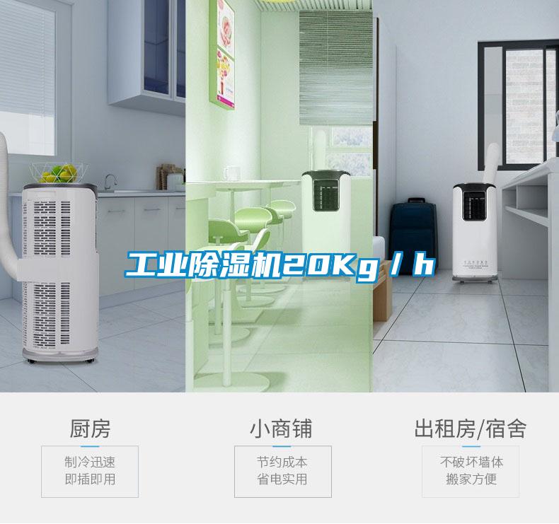 工業91看片网站视频機20Kg／h