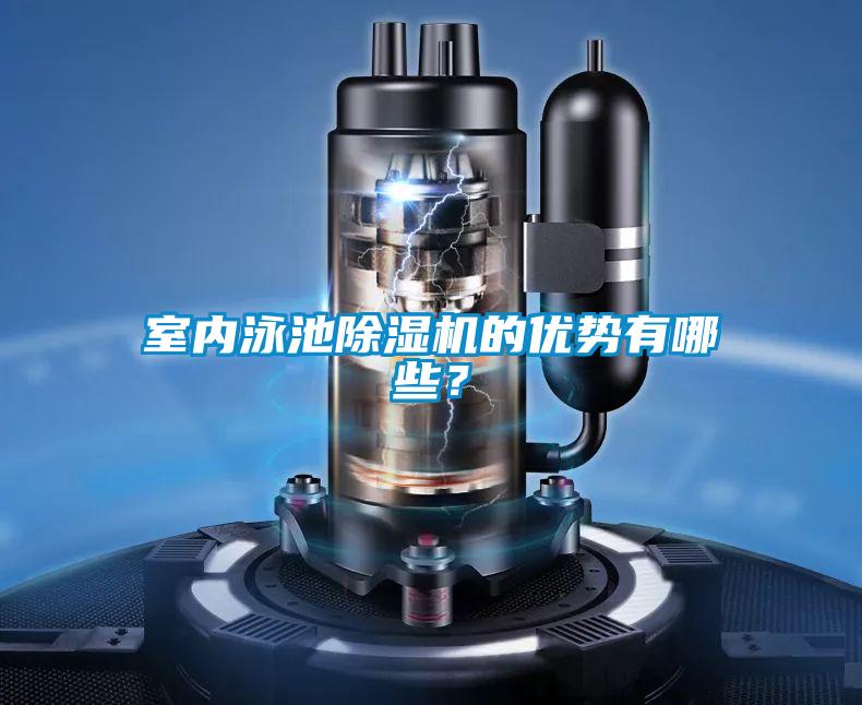 室內泳池91看片网站视频機的優勢有哪些？