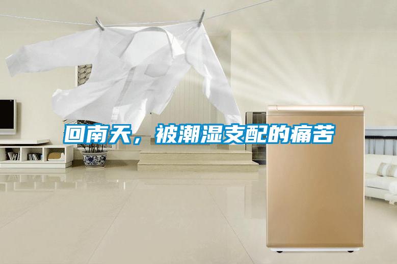 回南天，被潮濕支配的痛苦