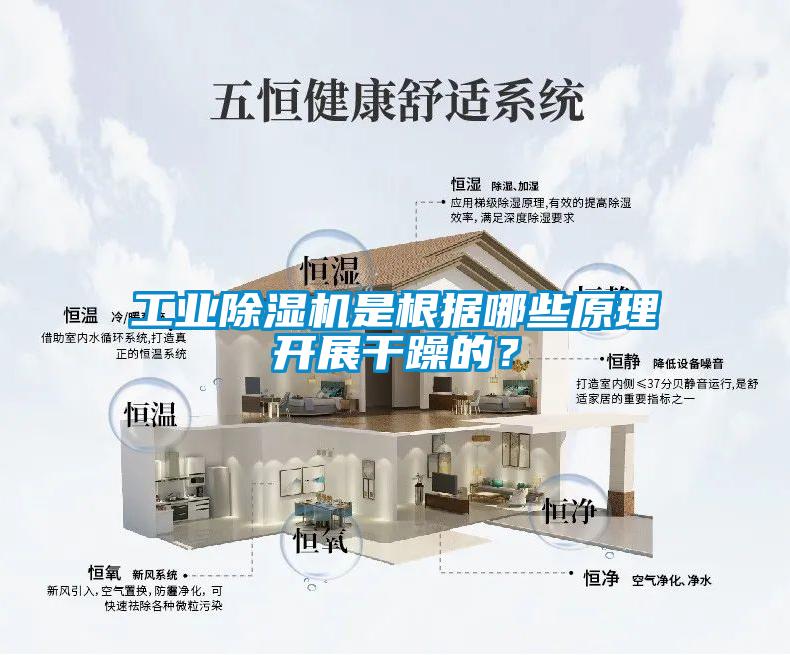 工業91看片网站视频機是根據哪些原理開展幹躁的？