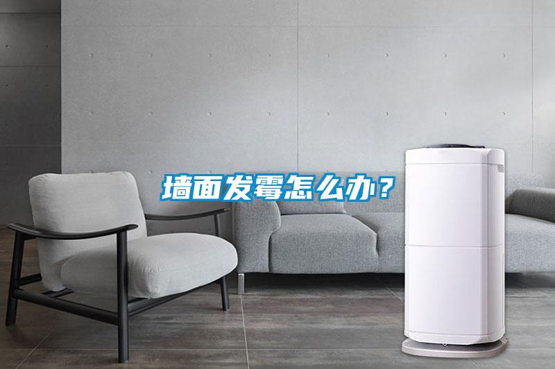 牆麵發黴怎麽辦？