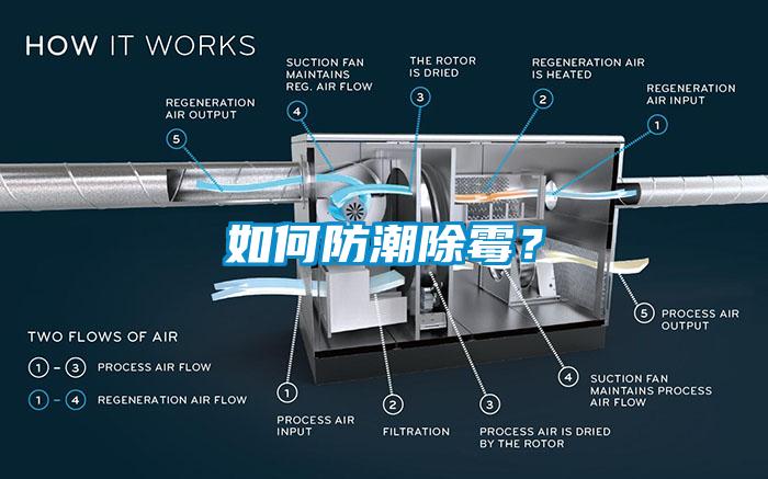 如何防潮除黴？