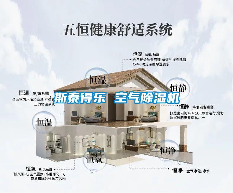 斯泰得樂 空氣91看片网站视频機