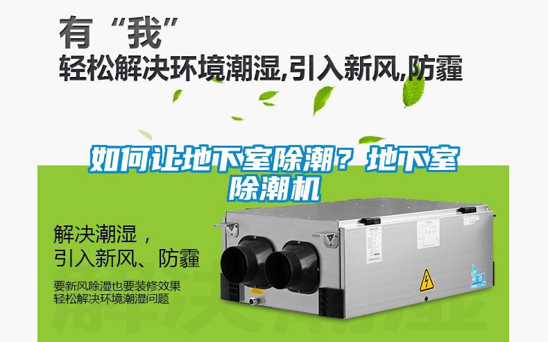 如何讓地下室除潮？地下室除潮機