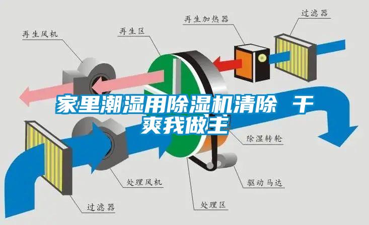 家裏潮濕用91看片网站视频機清除 幹爽我做主