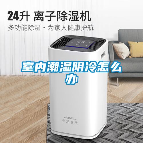 室內潮濕陰冷怎麽辦
