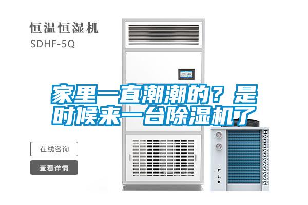 家裏一直潮潮的？是時候來一台91看片网站视频機了