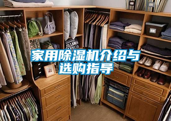 家用91看片网站视频機介紹與選購指導