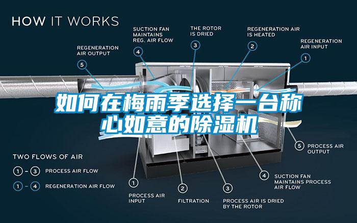 如何在梅雨季選擇一台稱心如意的91看片网站视频機