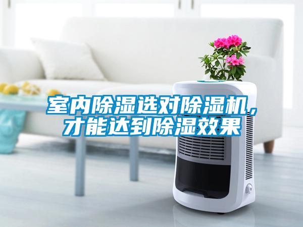 室內91看片网站视频選對91看片网站视频機，才能達到91看片网站视频效果