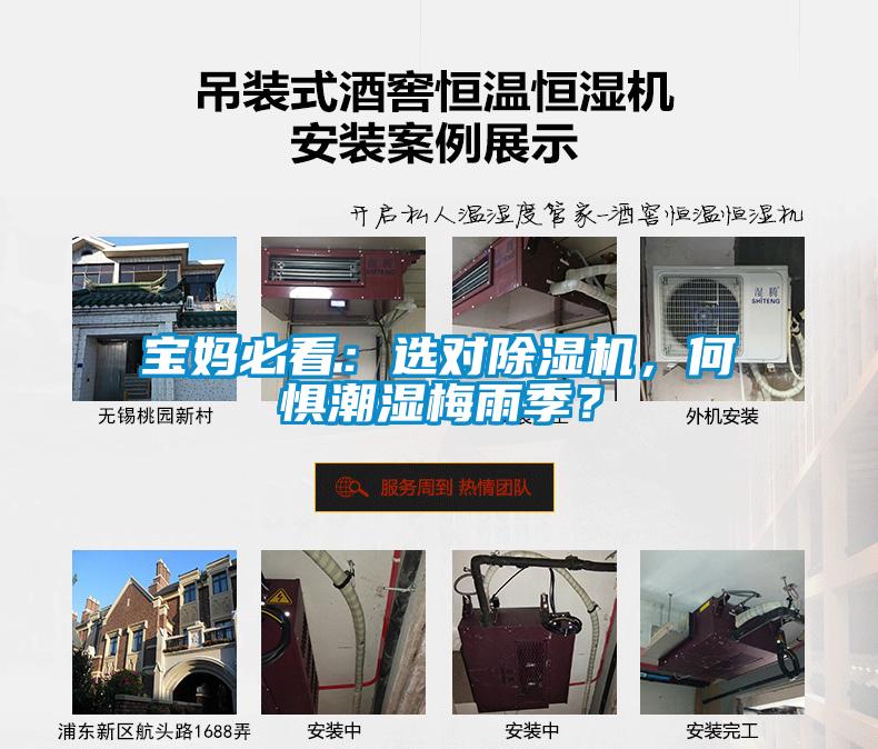 寶媽必看：選對91看片网站视频機，何懼潮濕梅雨季？
