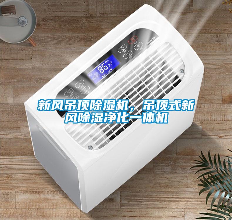 新風吊頂91看片网站视频機，吊頂式新風91看片网站视频淨化一體機