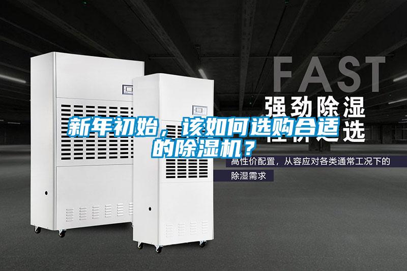 新年初始，該如何選購合適的91看片网站视频機？