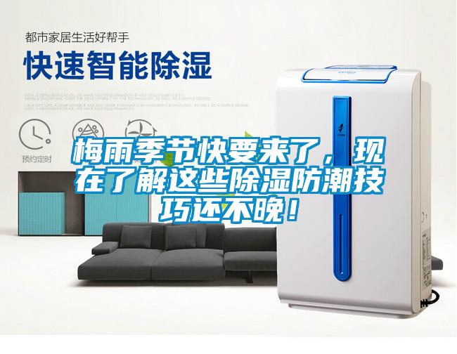 梅雨季節快要來了，現在了解這些91看片网站视频防潮技巧還不晚！