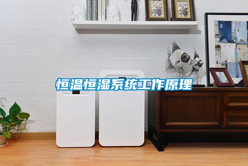 恒溫恒濕係統工作原理