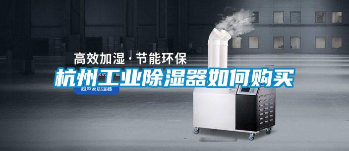 杭州工業91看片网站视频器如何購買