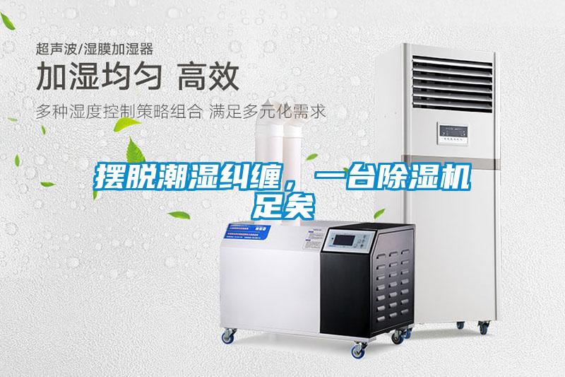 擺脫潮濕糾纏，一台91看片网站视频機足矣