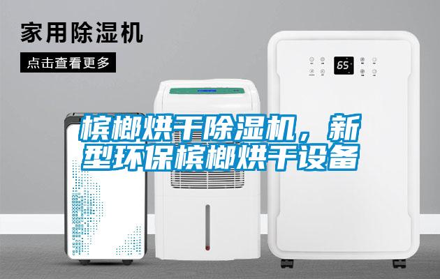 檳榔烘幹91看片网站视频機，新型環保檳榔烘幹設備